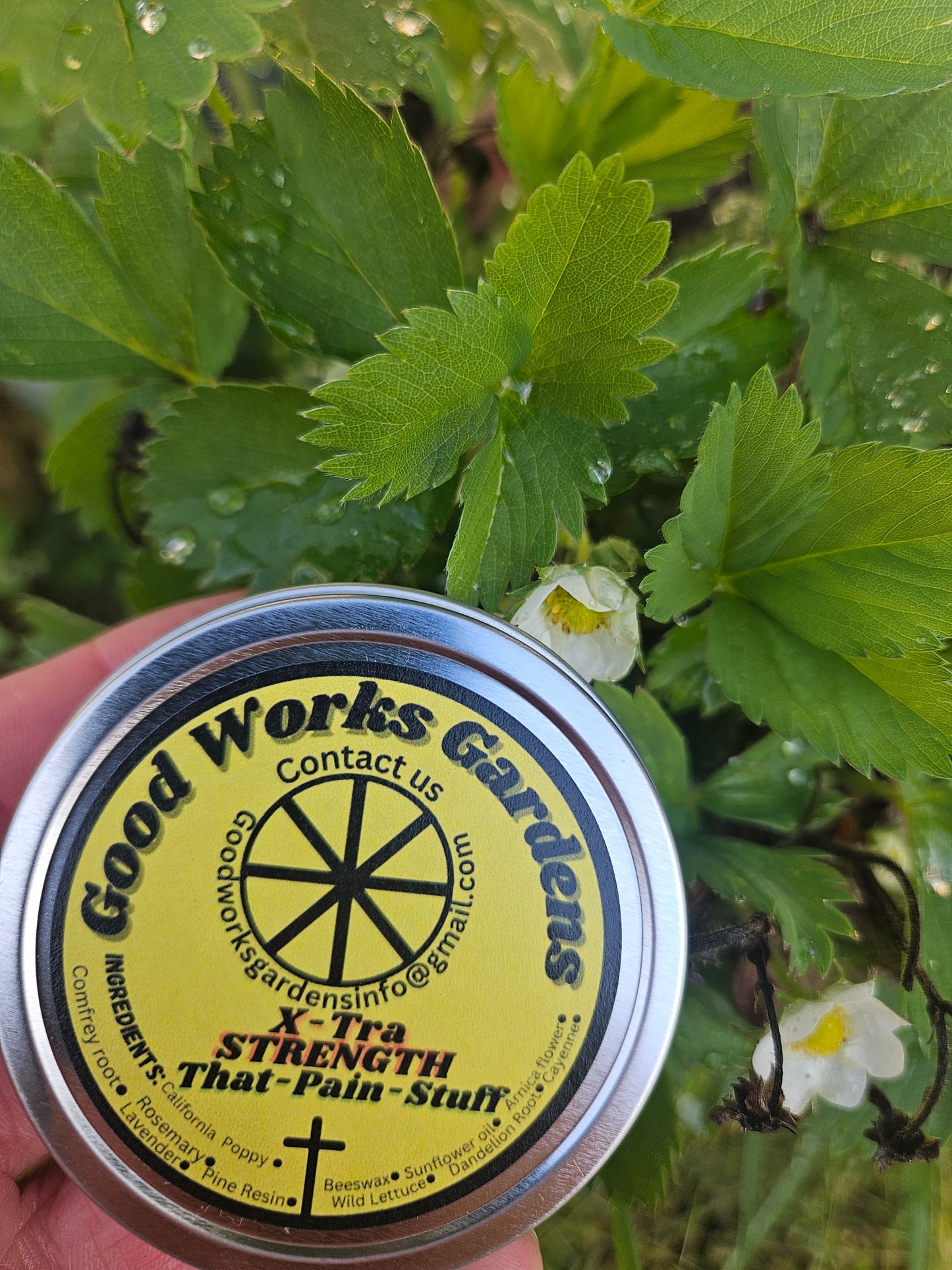 That-Pain-Stuff: Xtra Strength Salve 1oz